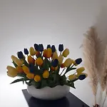 לינה וארוחת בוקר La Fenice