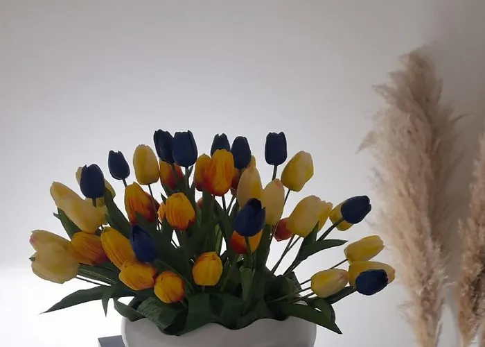 Bed & Breakfast La Fenice